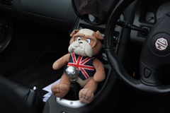 John Bull