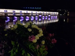 Barrage Vauban likewise