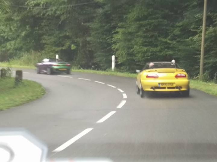 Through the Alsace forest …
