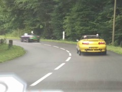 Through the Alsace forest …