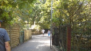 Freinsheim